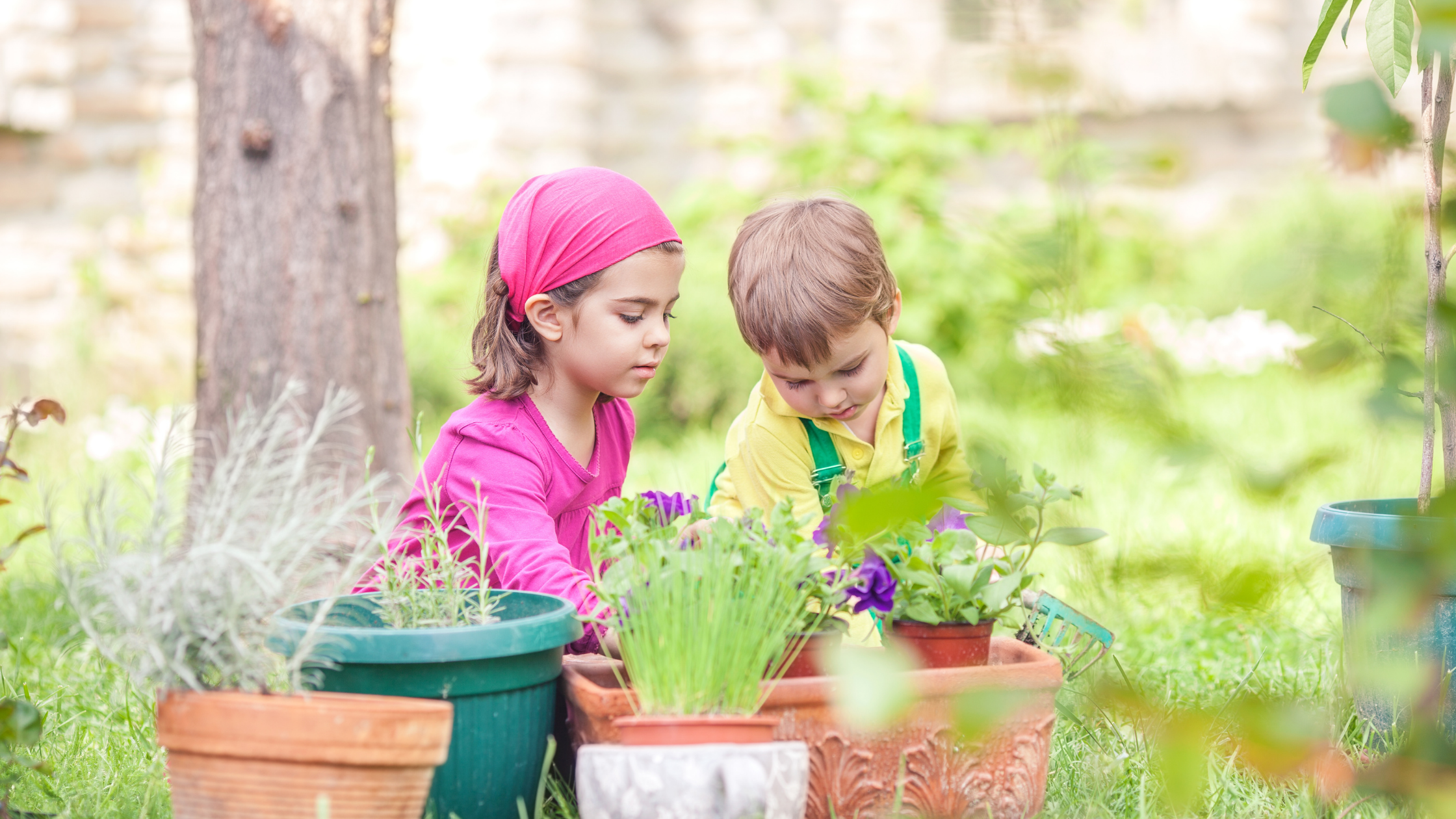 Two kids engaged in summer learning and exploration through plants from the outdoors
